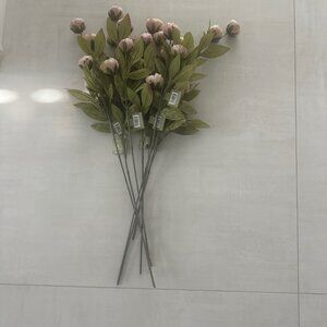 Set of 8 Viral Ashland Tan Peony Stems From Michael’s